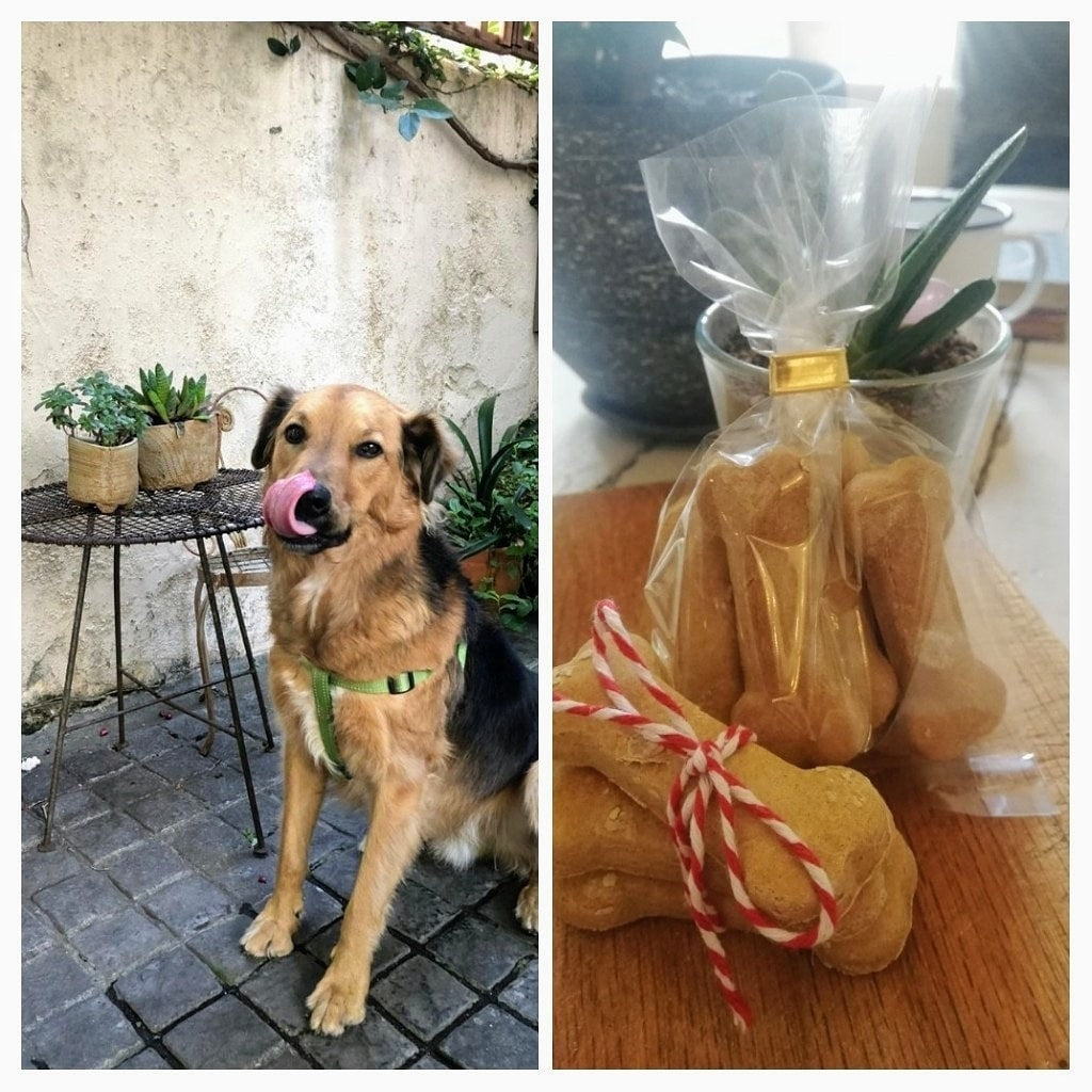 Rosemary DOG Biscuits